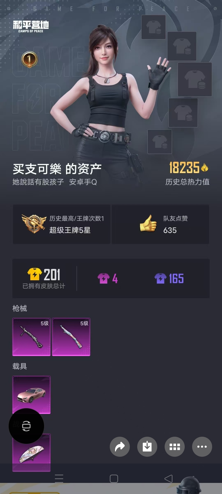 HPSJ3314410和平精英账号详情图4 HPSJ3314410和平精英账号详情图4