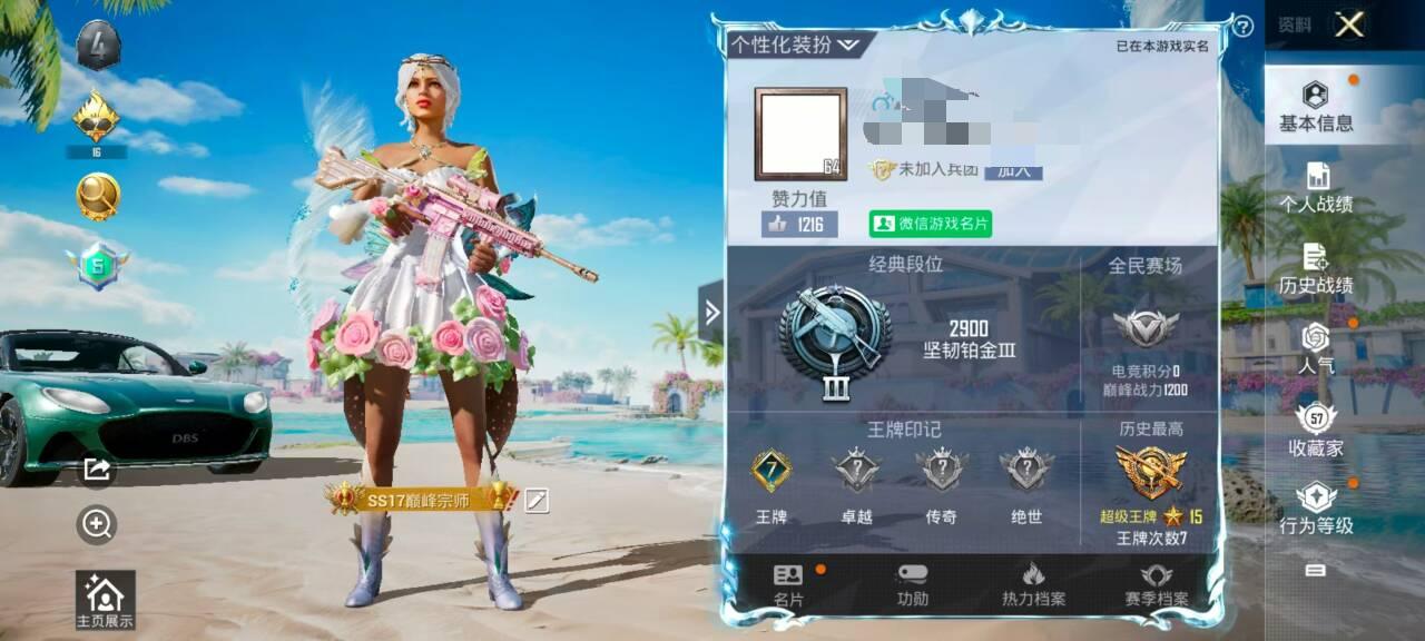 HPSJ3315506和平精英账号详情图2