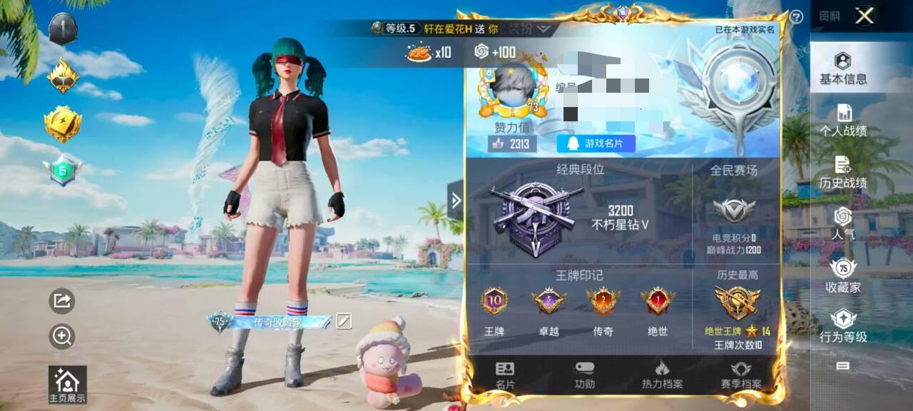 HPSJ3315986和平精英账号详情图2
