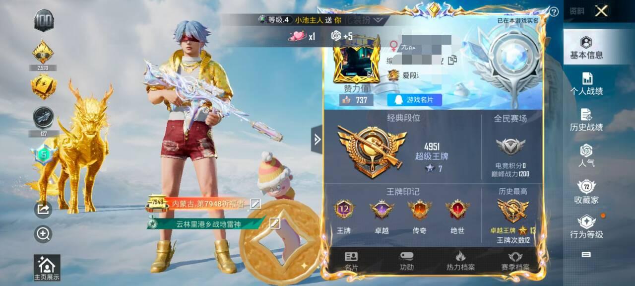 HPSJ3316054和平精英账号详情图2
