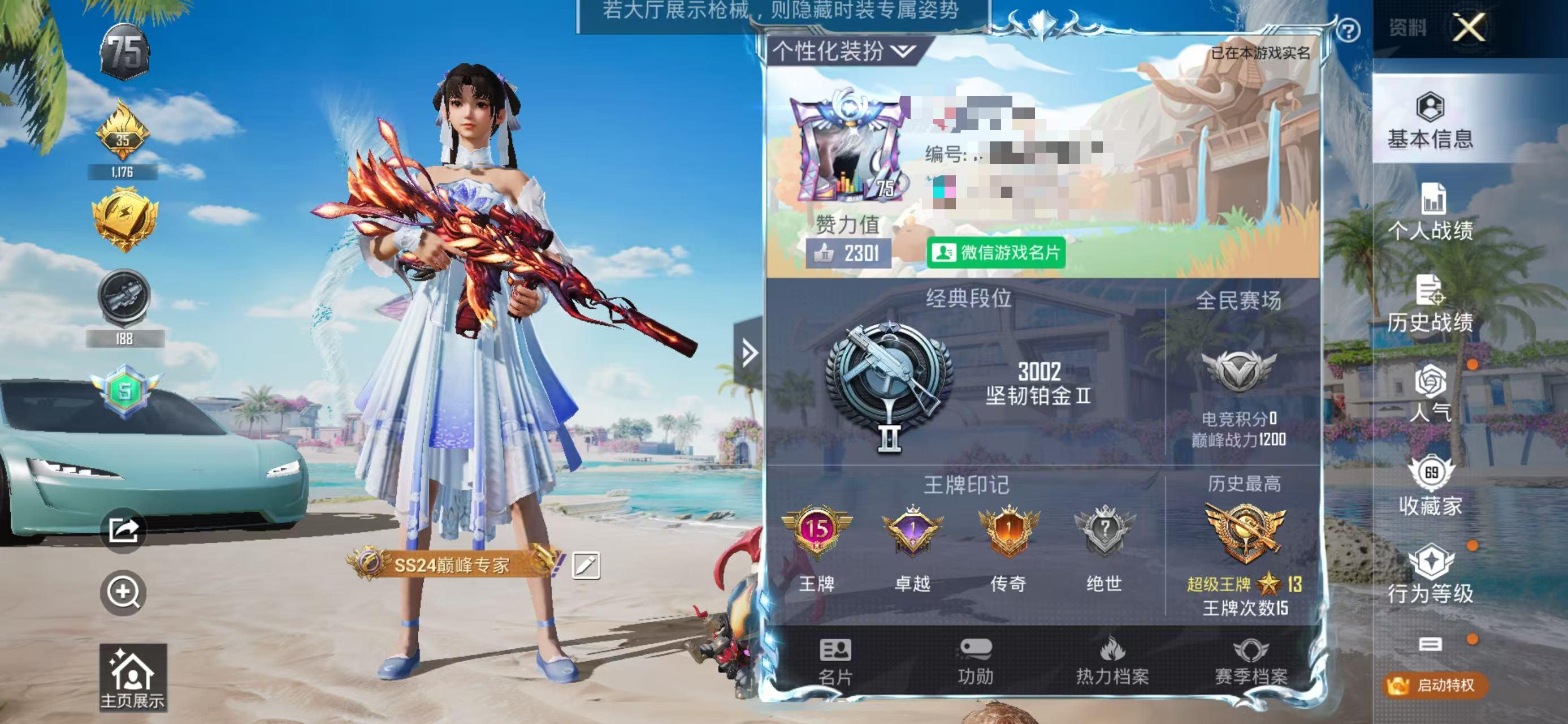 HPSJ3331300和平精英账号详情图8