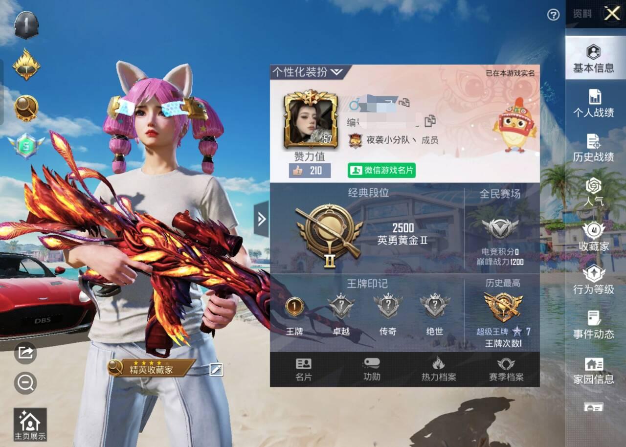 HPSJ3300456和平精英账号详情图2