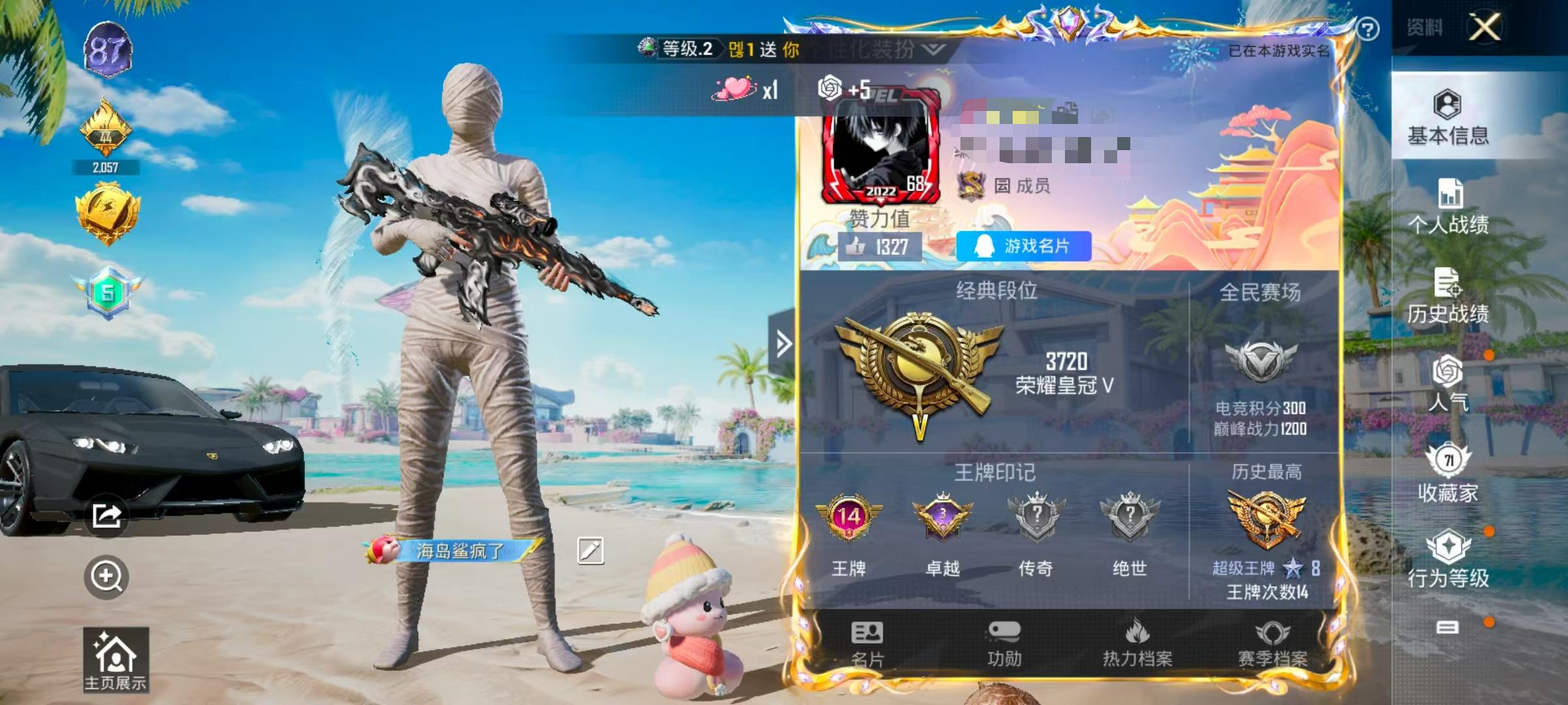 HPSJ3298837和平精英账号详情图2