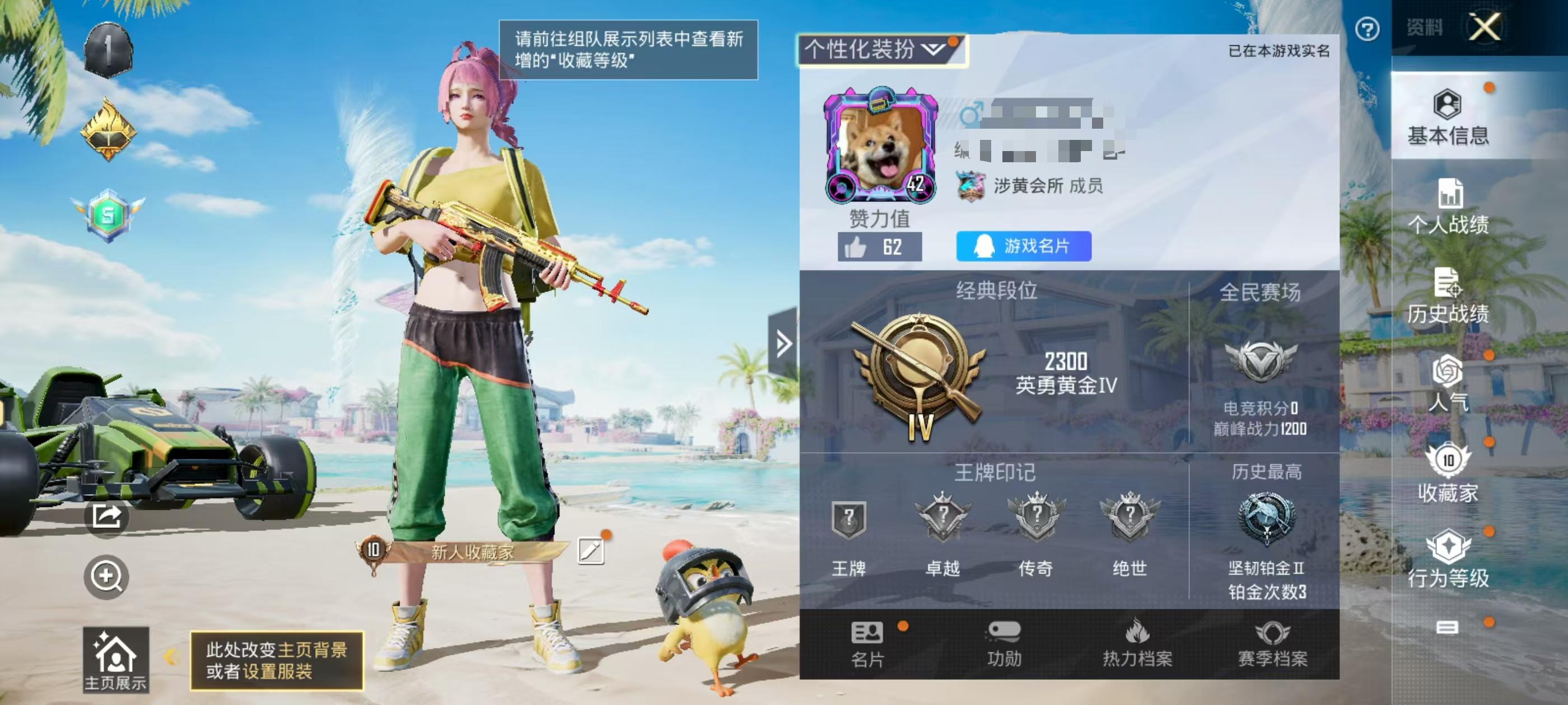 HPSJ3298698和平精英账号详情图2