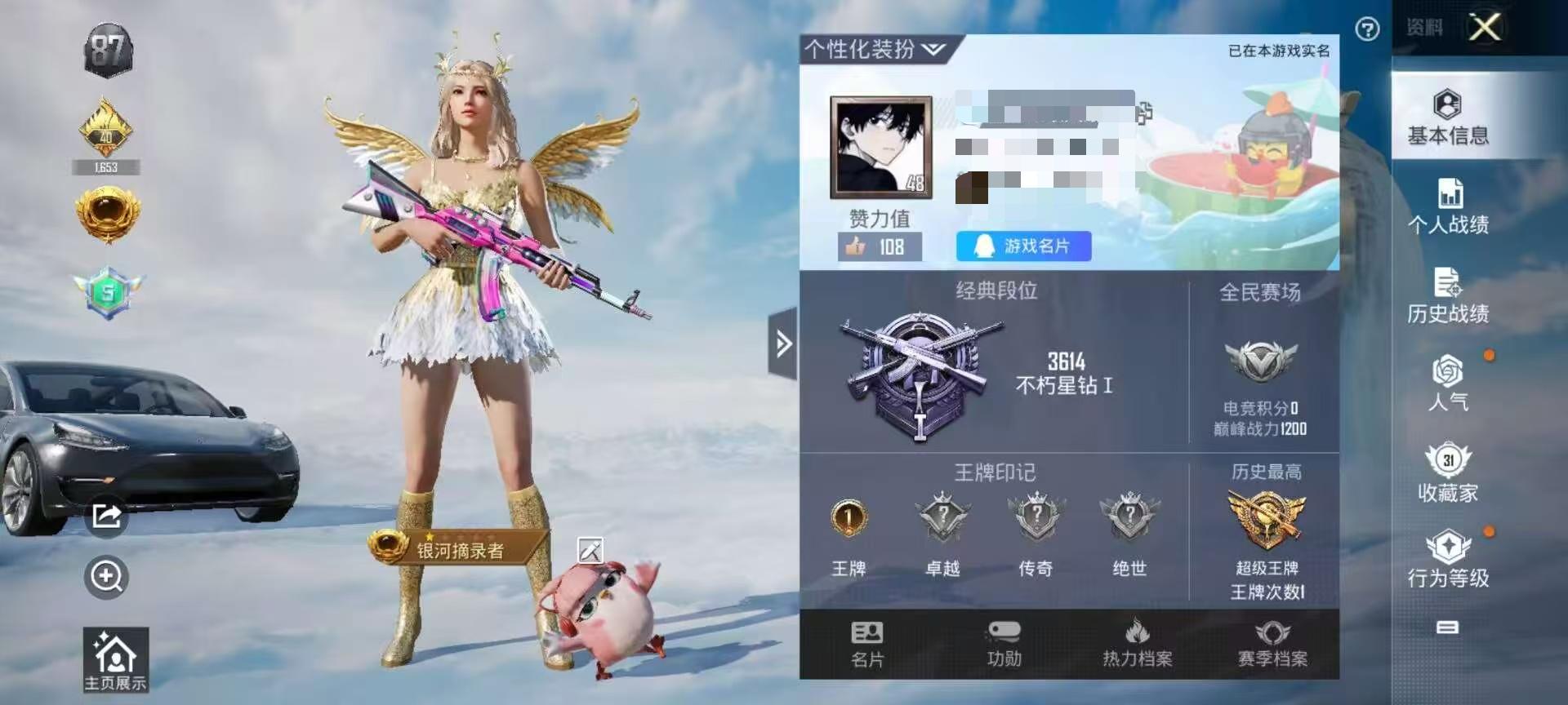 HPSJ3319979和平精英账号详情图2 HPSJ3319979和平精英账号详情图2