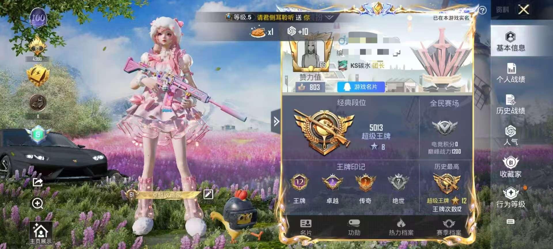 HPSJ3326548和平精英账号详情图2