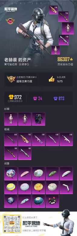 HPSJ3329832和平精英账号详情图3 HPSJ3329832和平精英账号详情图3