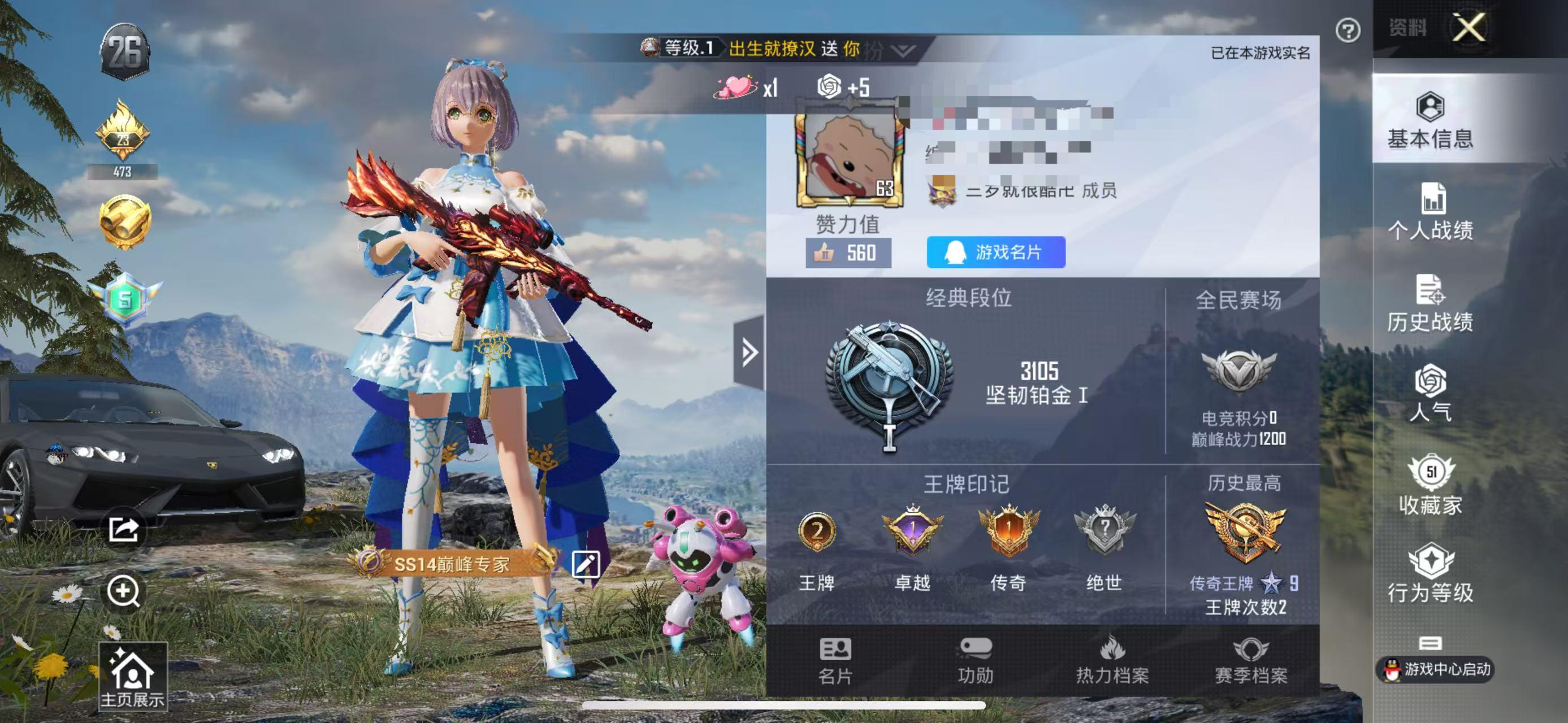 HPSJ3327675和平精英账号详情图2