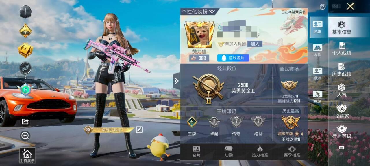 HPSJ3328576和平精英账号详情图2