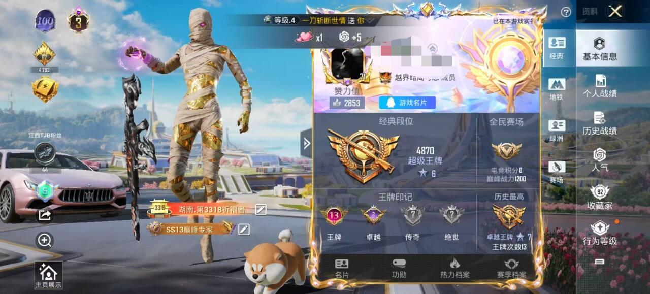 HPSJ3331707和平精英账号详情图2