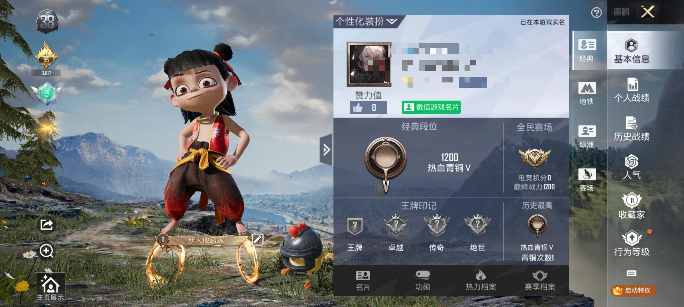 HPSJ3329933和平精英账号详情图2