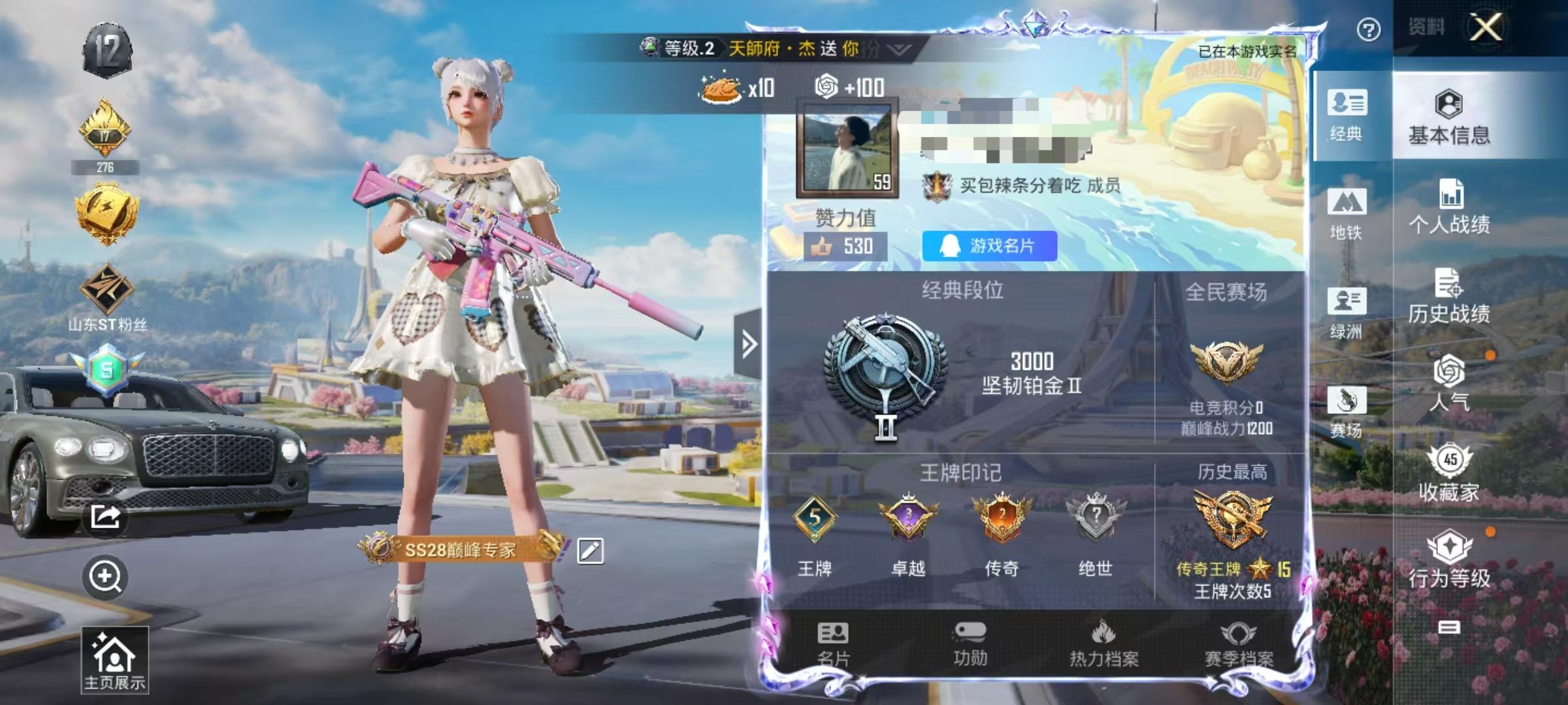 HPSJ3331092和平精英账号详情图2