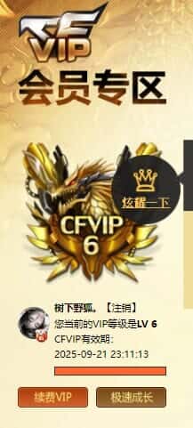 CFCMW332200穿越火线账号详情图44