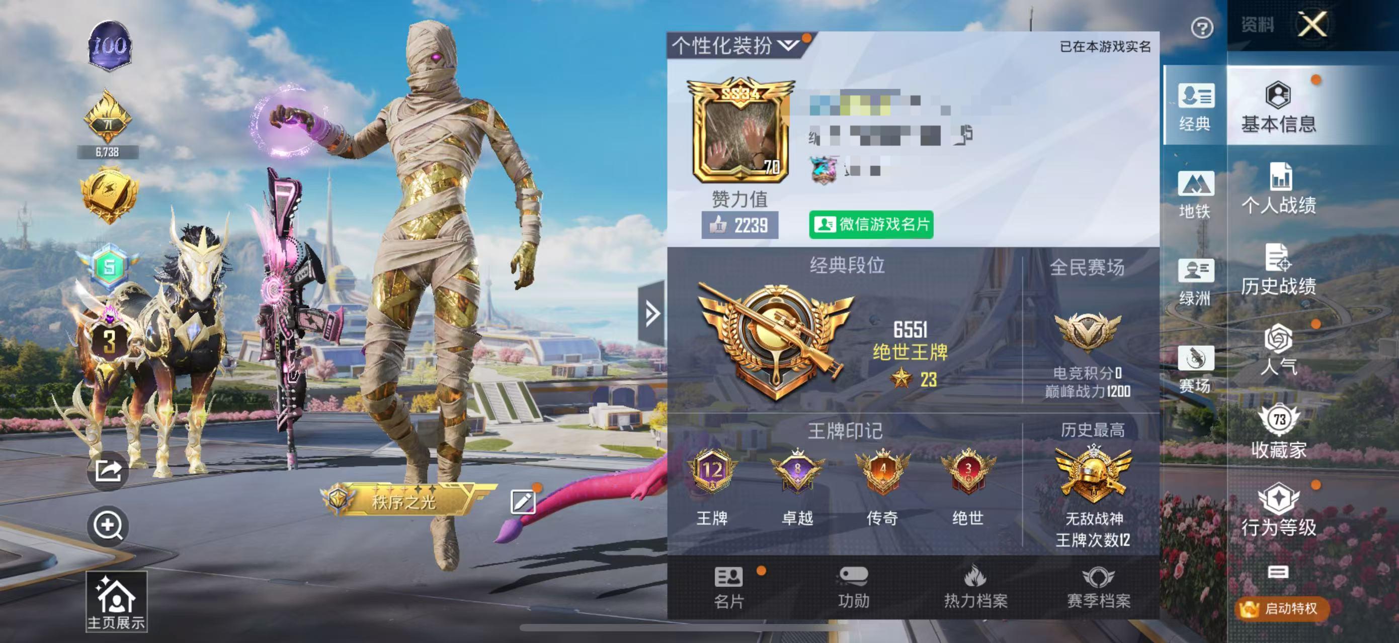 HPSJ3331623和平精英账号详情图2