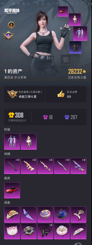 HPCMW3332021和平精英账号详情图4