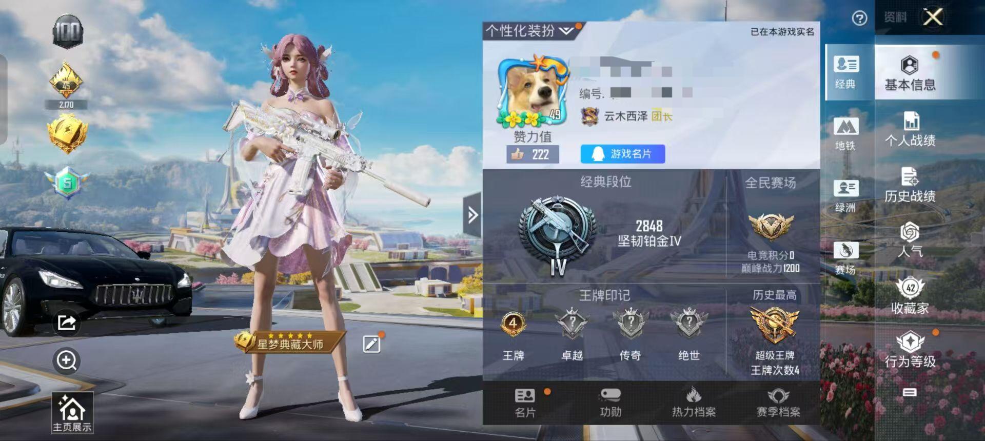 HPSJ3331730和平精英账号详情图2