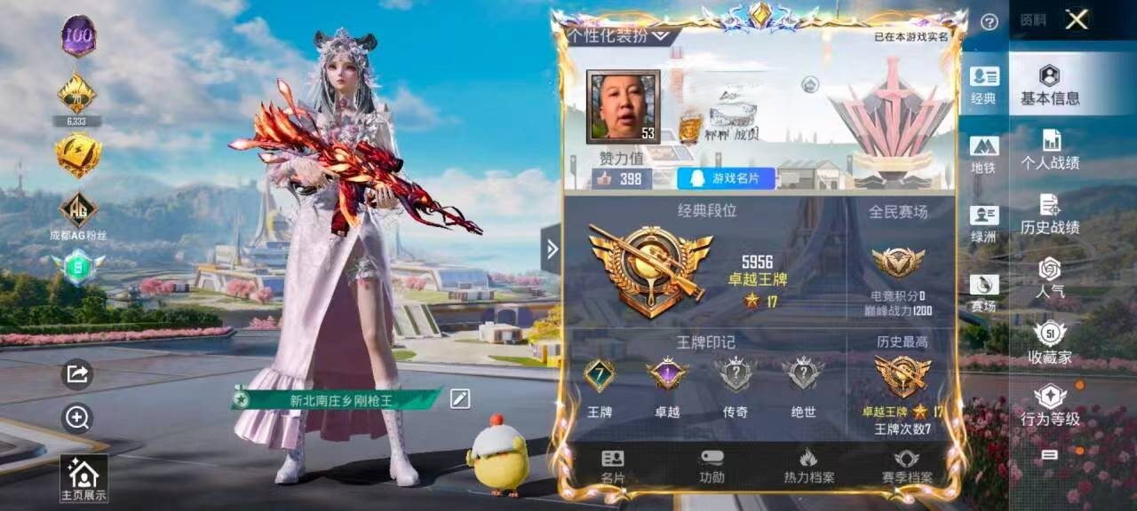 HPSJ3334087和平精英账号详情图2