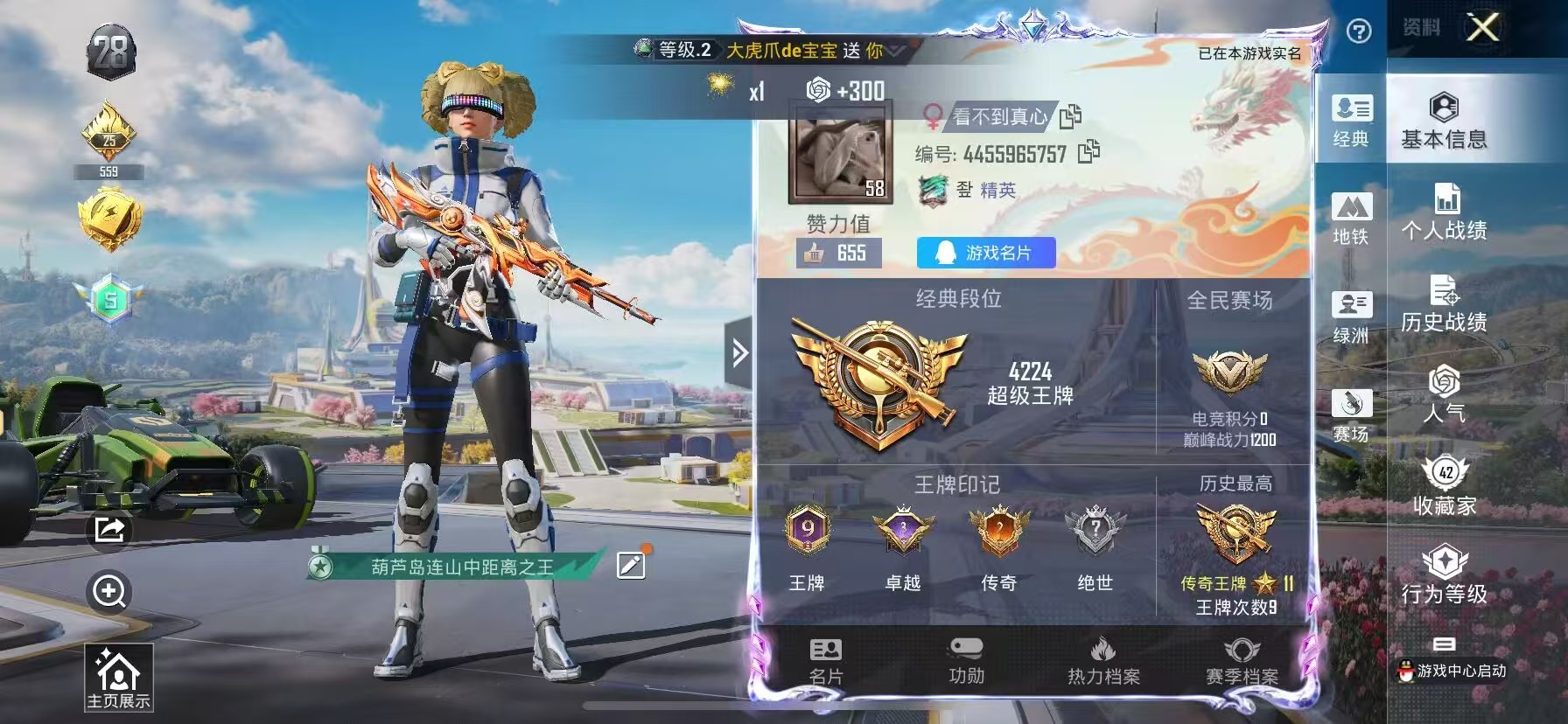 HPSJ3334906和平精英账号详情图2