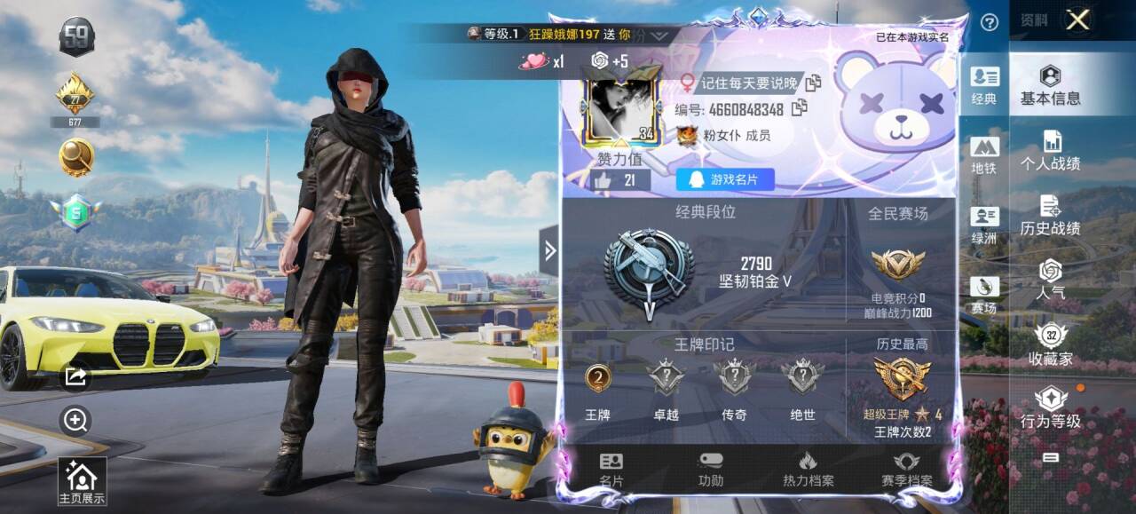 HPSJ3334933和平精英账号详情图2