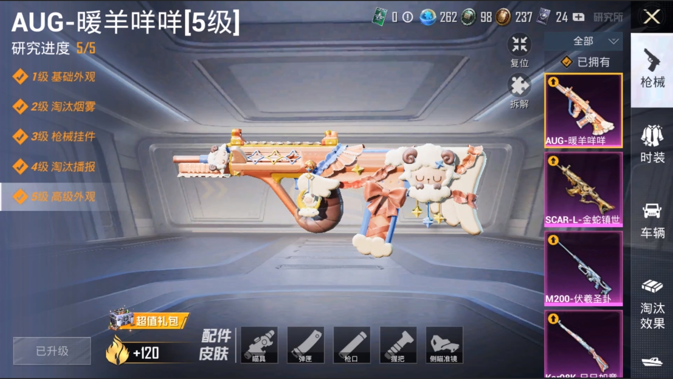 HPZM3373035和平精英账号详情图6 HPZM3373035和平精英账号详情图6