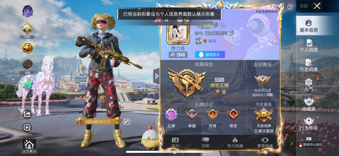 HPSJ3333513和平精英账号详情图2