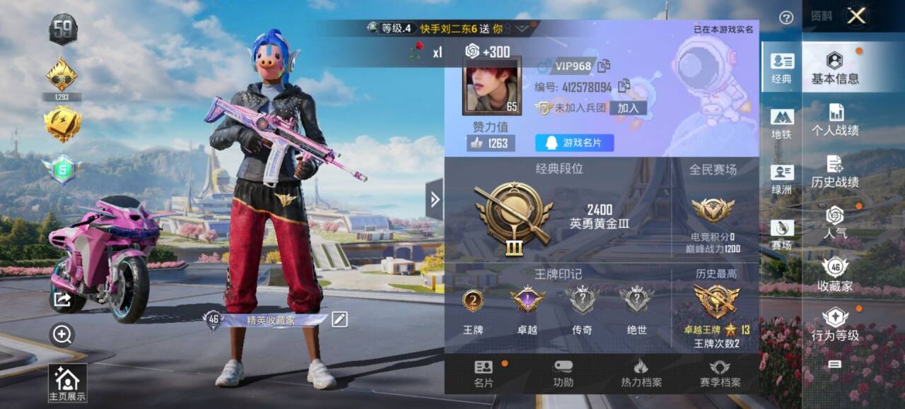 HPSJ3333547和平精英账号详情图3