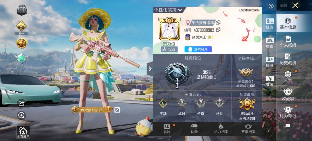 HPSJ3334166和平精英账号详情图2