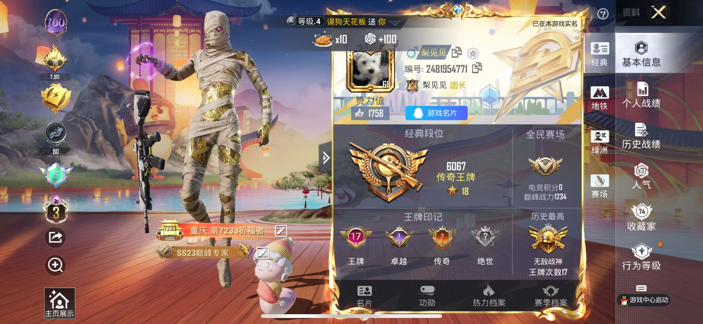 HPSJ3334289和平精英账号详情图2