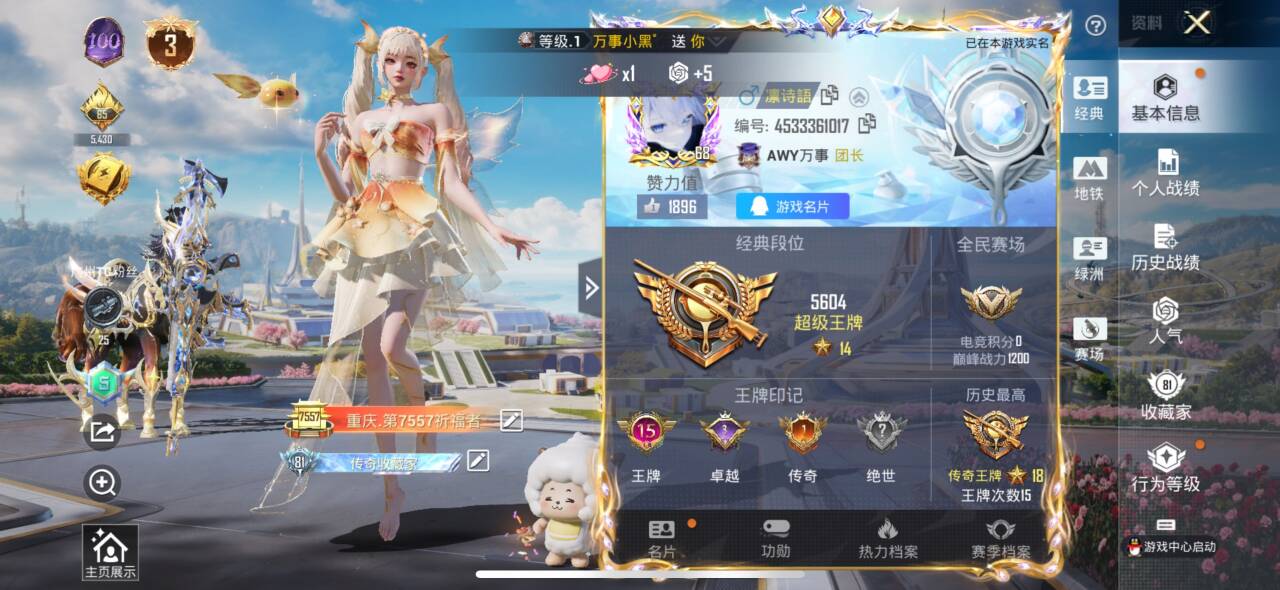 HPSJ3334984和平精英账号详情图2