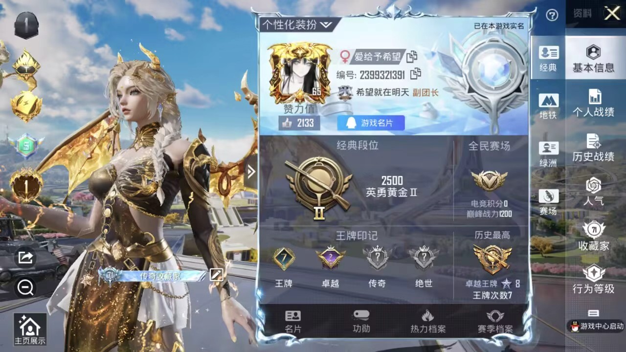 HPSJ3336189和平精英账号详情图2