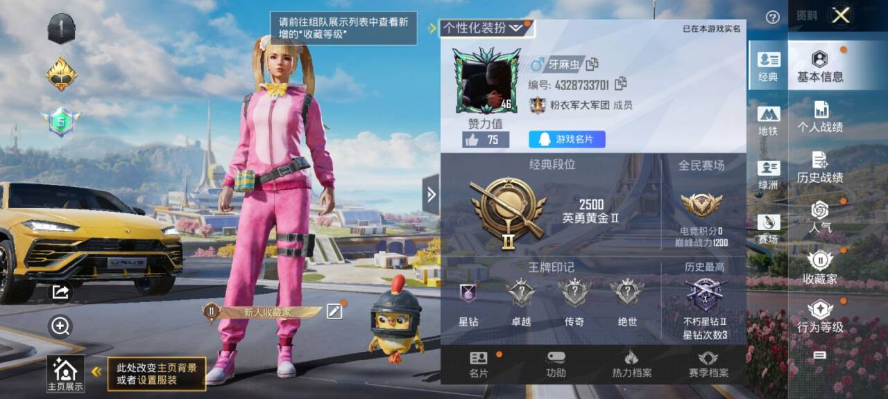 HPSJ3337727和平精英账号详情图2