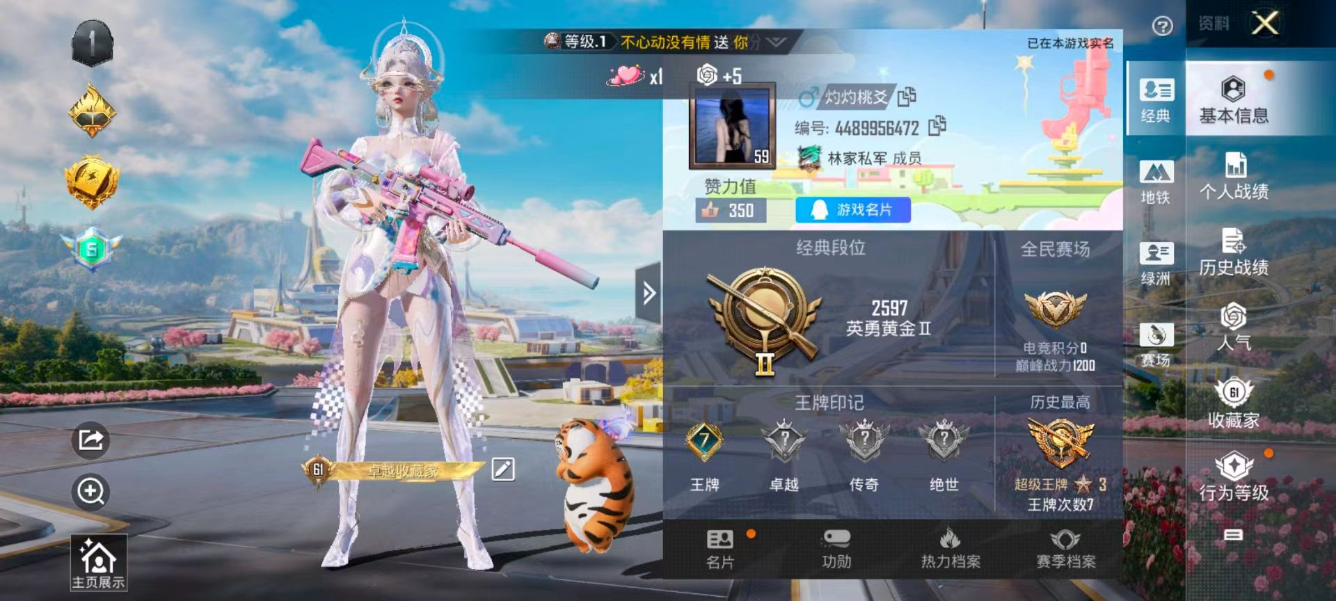 HPSJ3339902和平精英账号详情图2