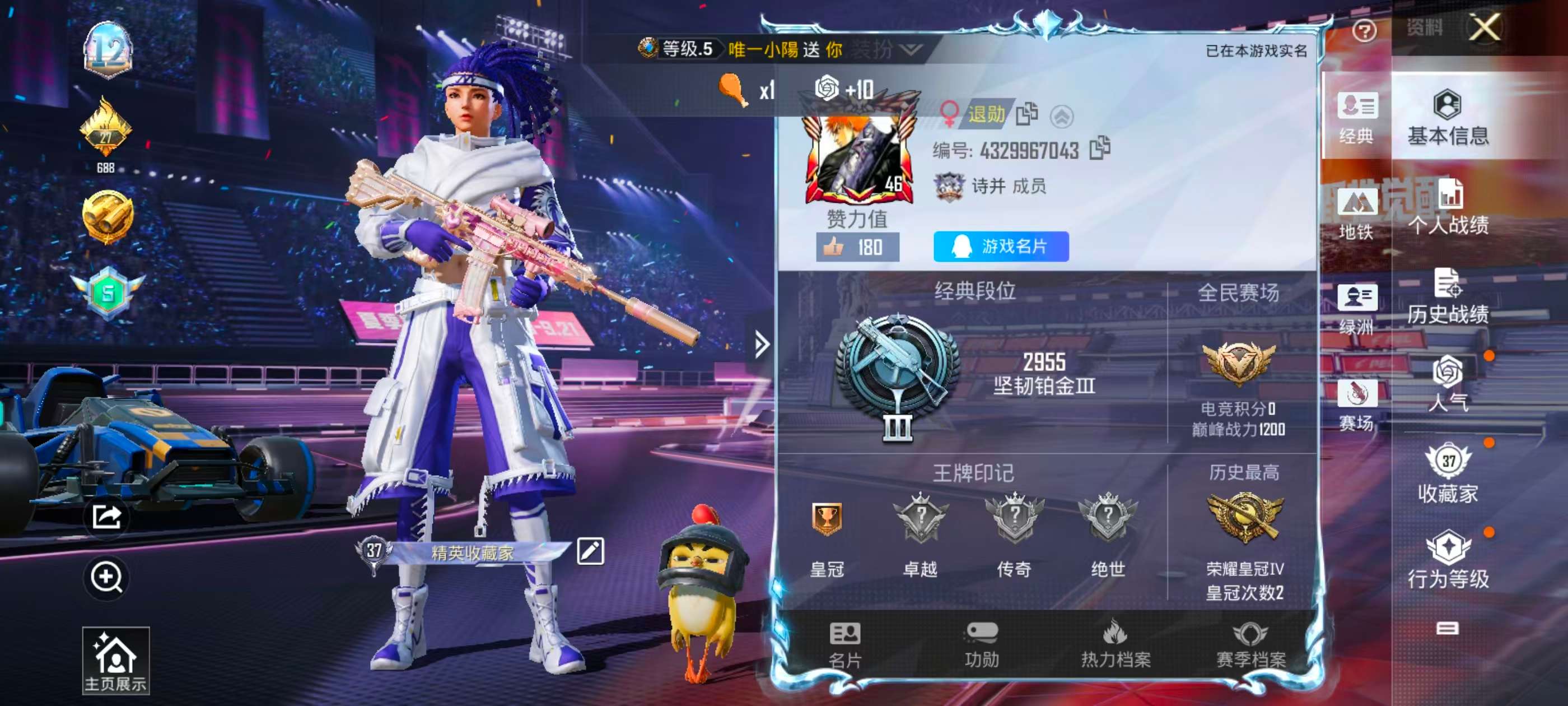 HPSJ3339888和平精英账号详情图2