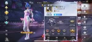 HPSJ3339101和平精英账号详情图2