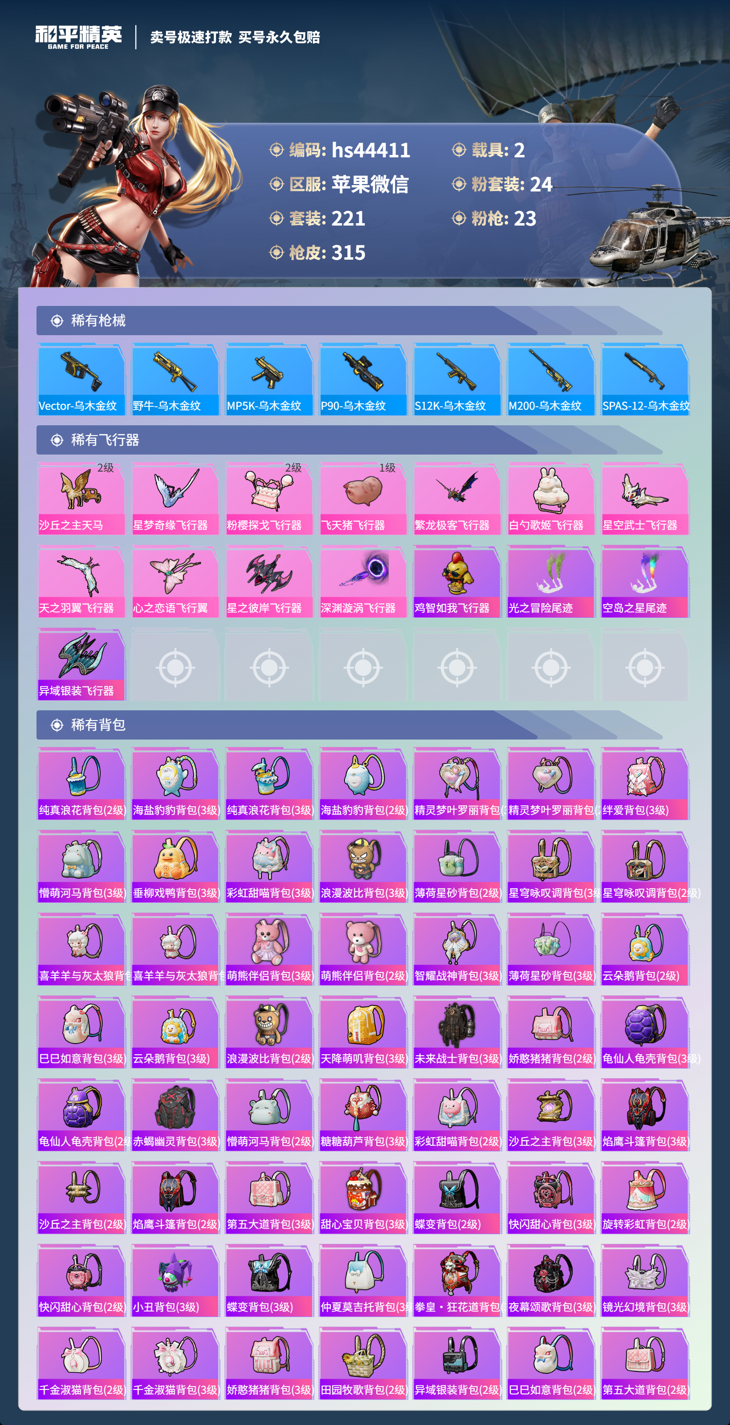 HPSJ3339075和平精英账号详情图11 HPSJ3339075和平精英账号详情图11