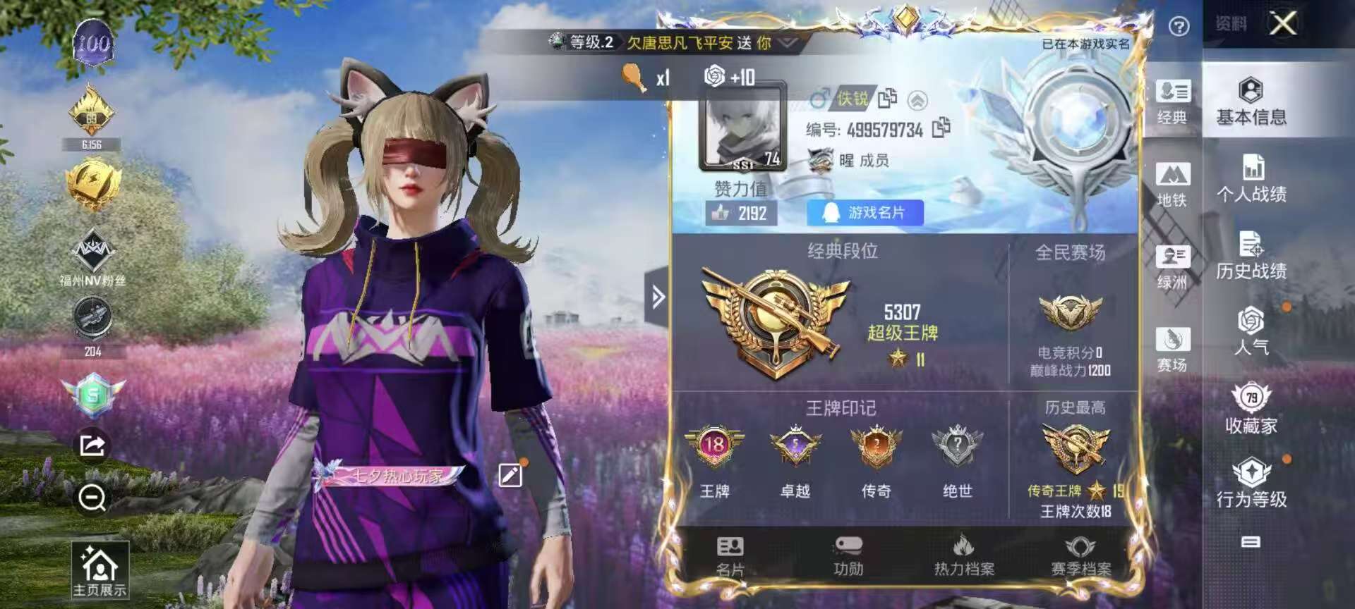 HPSJ3340757和平精英账号详情图2