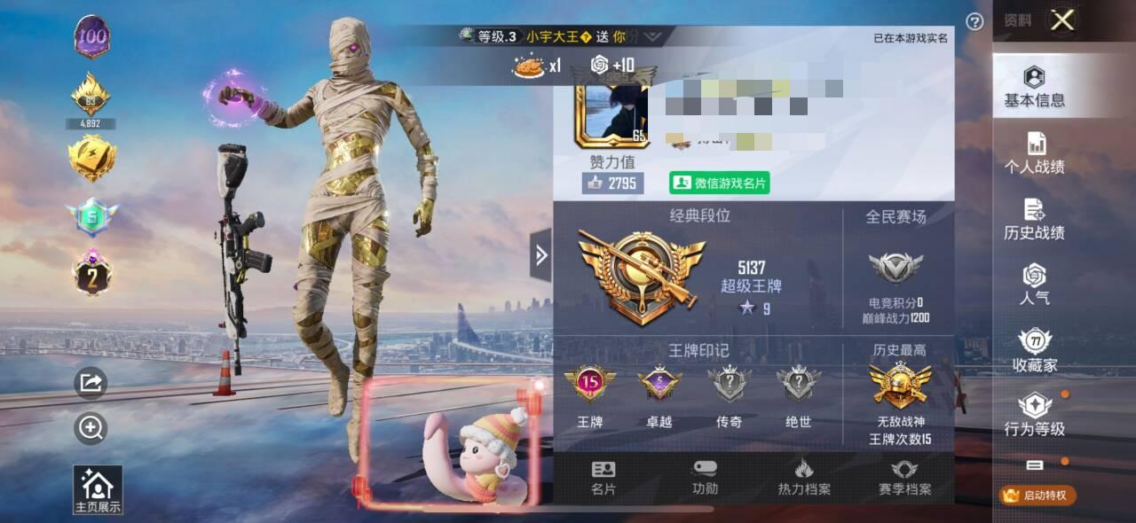 HPSJ3325171和平精英账号详情图2