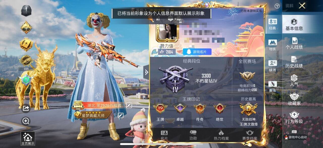 HPSJ3328344和平精英账号详情图2