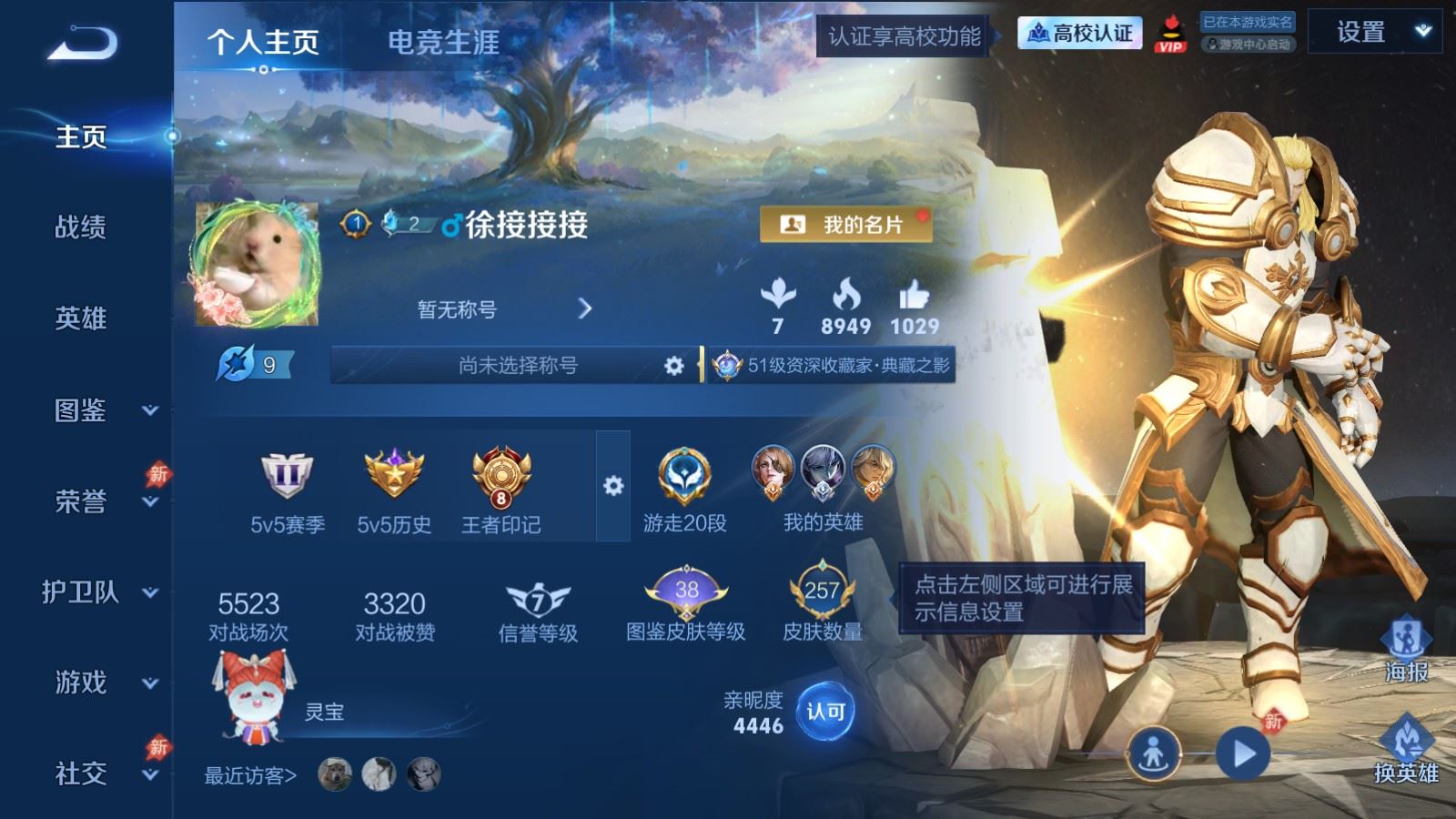 WZMMN4742819王者荣耀账号详情图2 WZMMN4742819王者荣耀账号详情图2