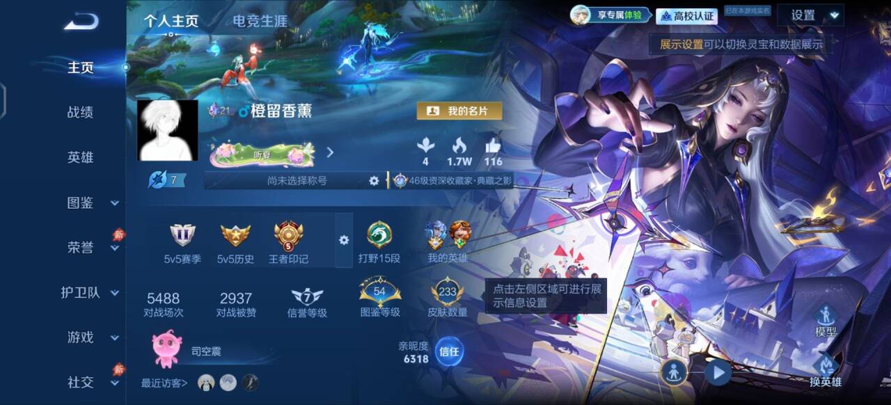 WZMMN4770656王者荣耀账号详情图5