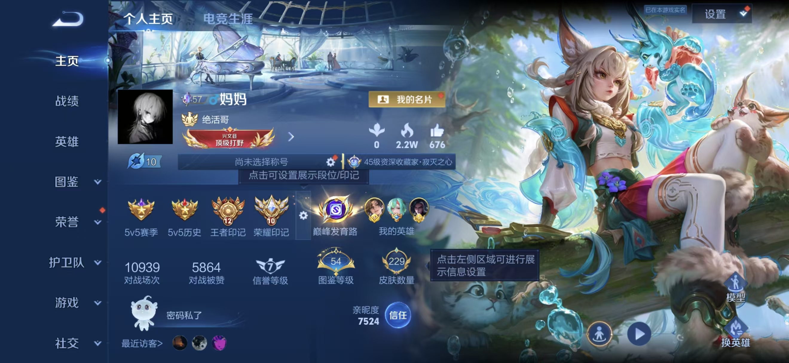 WZMMN4791197王者荣耀账号详情图5