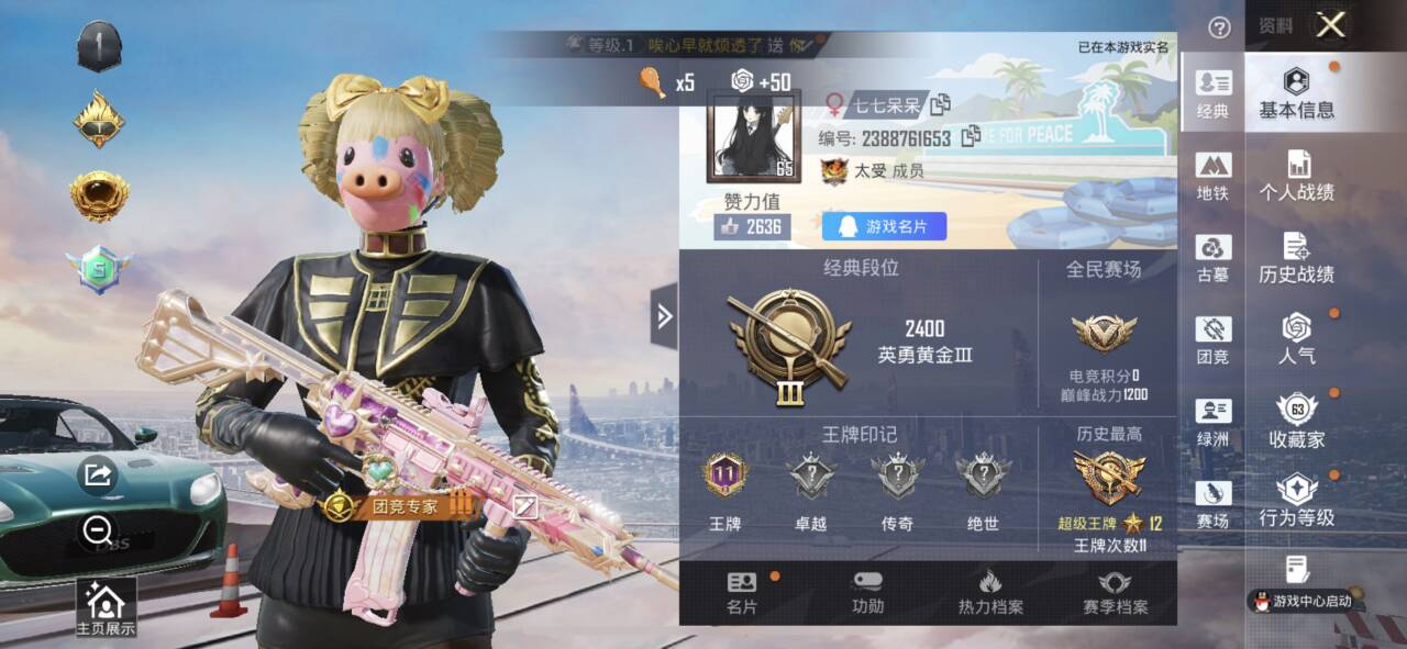 HPMMN4473785和平精英账号详情图3