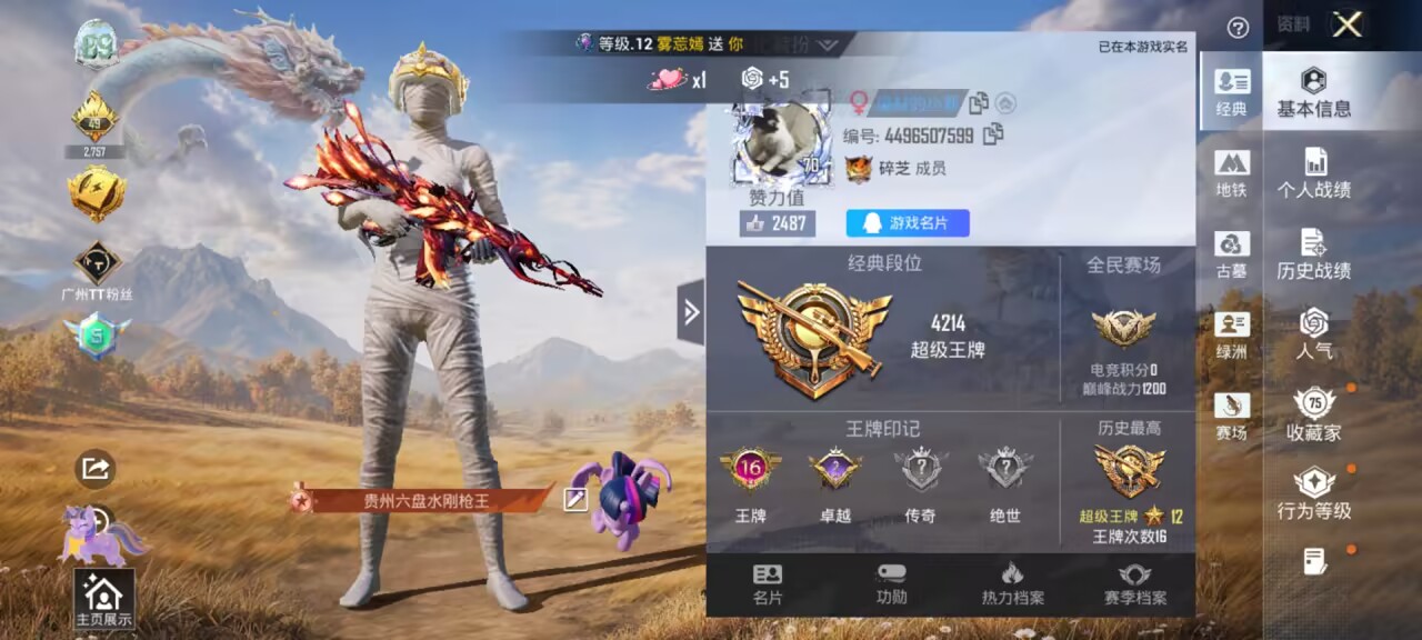 账号详情图片