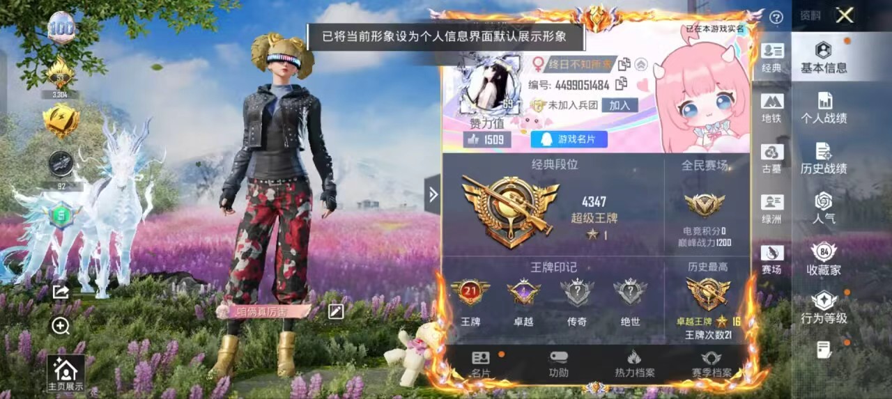 账号详情图片