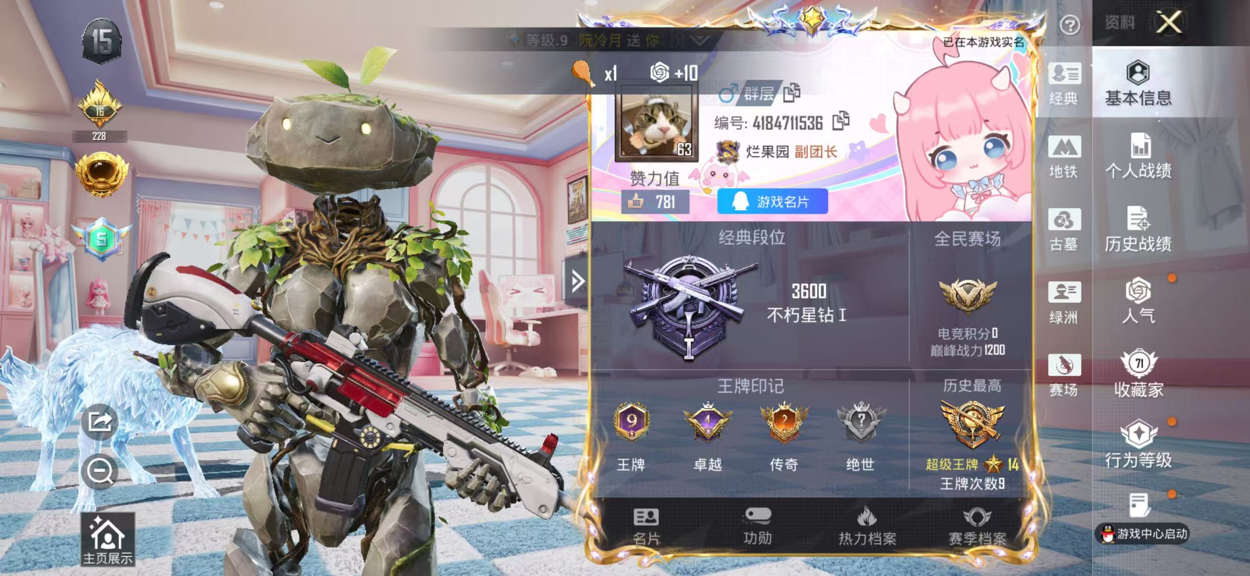 账号详情图片