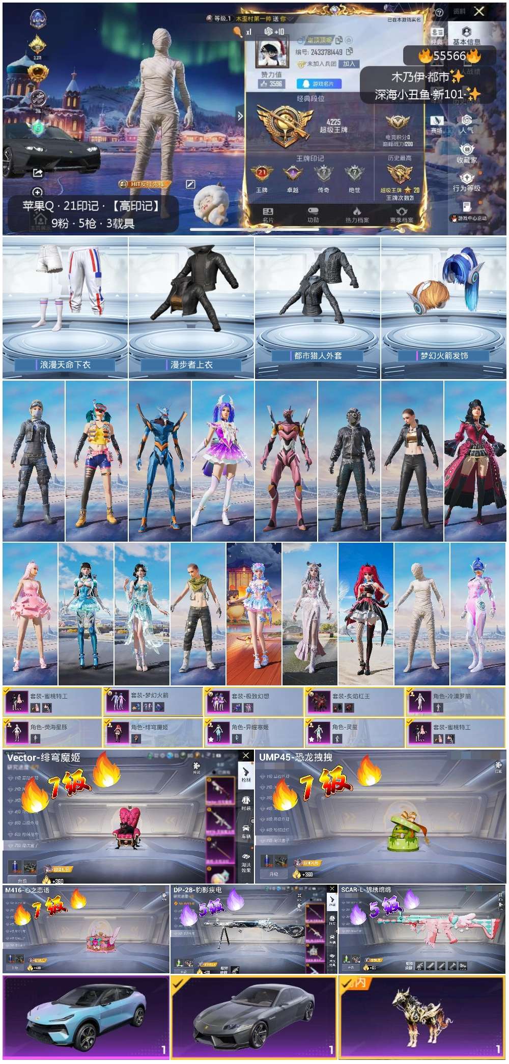 HPSJ40924和平精英账号详情图2