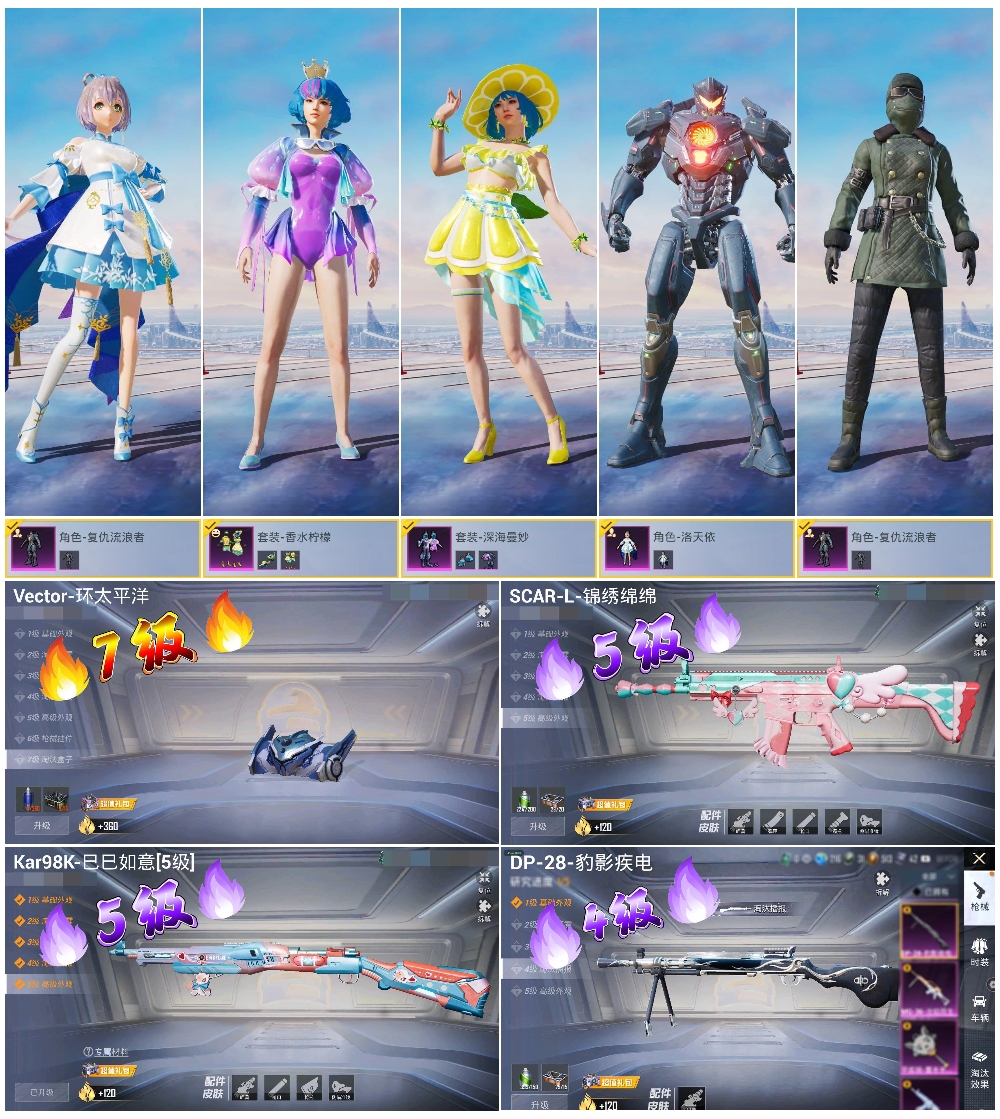 HPSJ40867和平精英账号详情图2