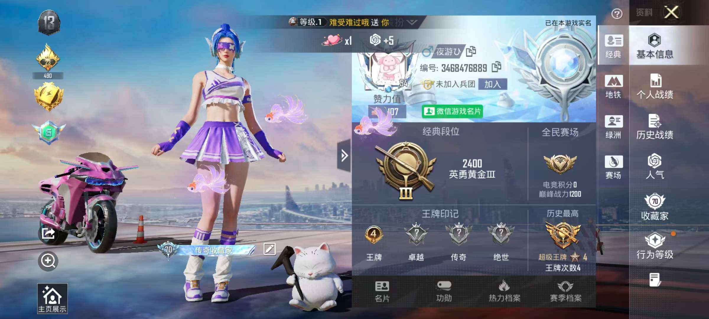 HPSJ41110和平精英账号详情图3