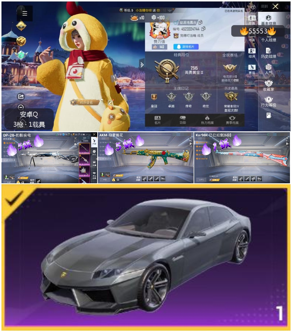 HPSJ40822和平精英账号详情图4