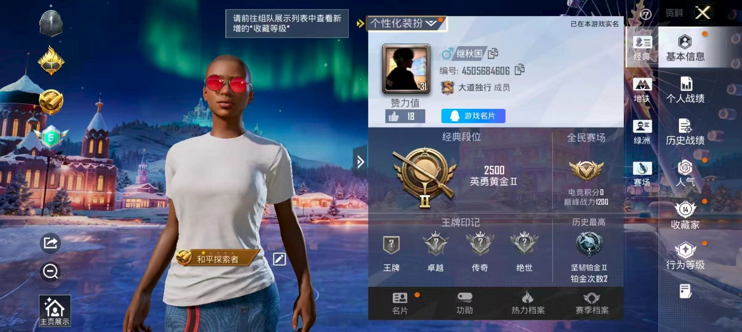 HPCMW410241和平精英账号详情图2